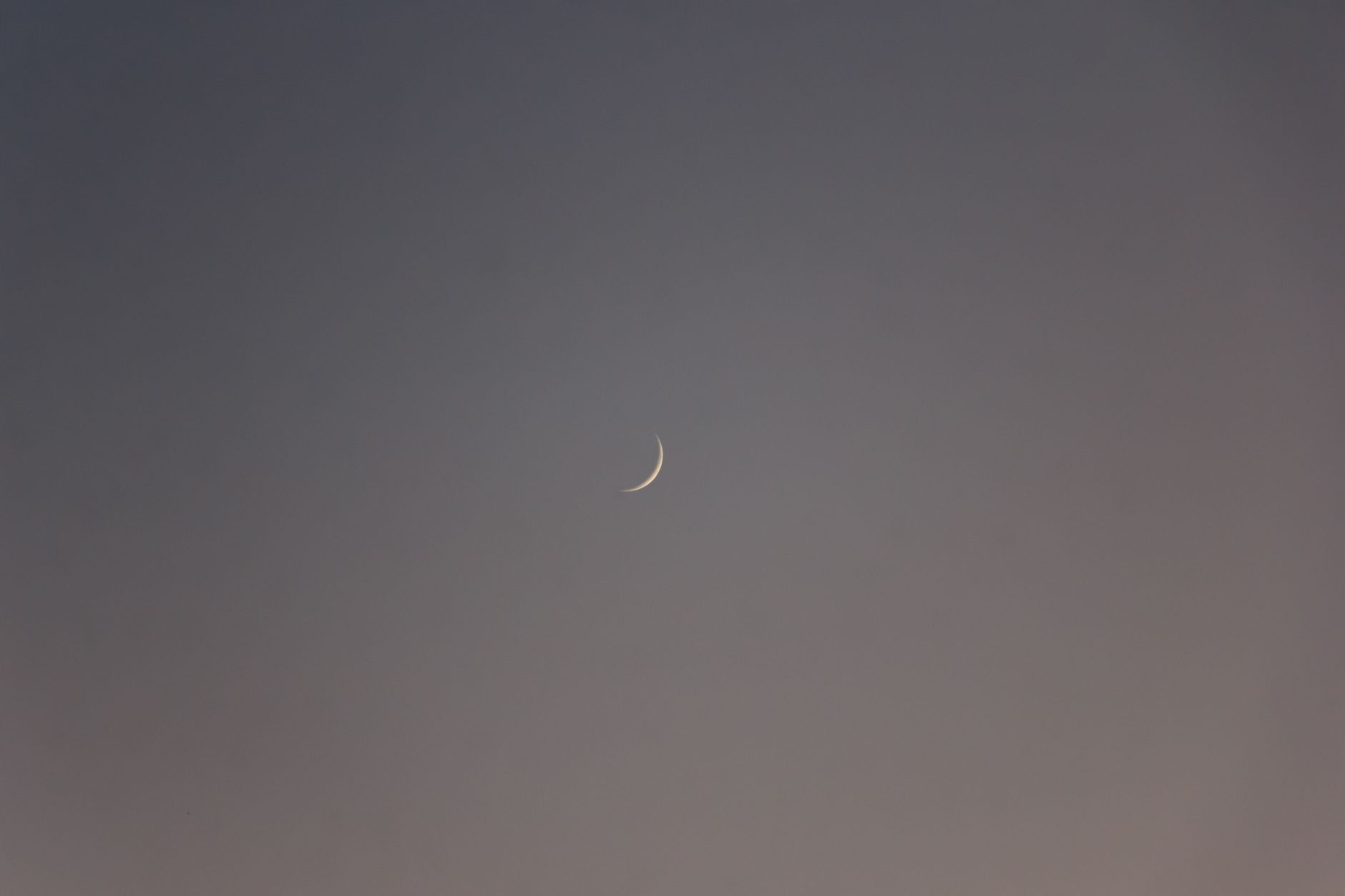 New Moon in Virgo