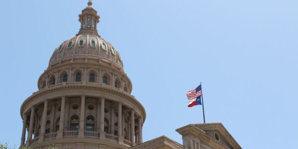 Texas statewide races